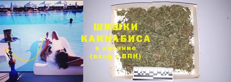 что такое   Константиновск  МАРИХУАНА White Widow 